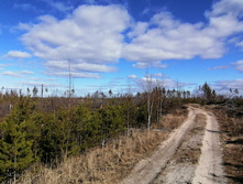 IMG 20200321 122219.jpg