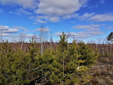 IMG 20200321 120038.jpg