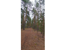 IMG 20200309 125337.jpg