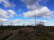 IMG 20200321 110951.jpg