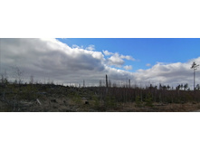 IMG 20200321 103055.jpg