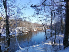 IMG 20200301 115906.jpg