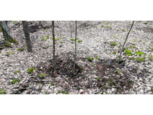 IMG 20200321 095339.jpg