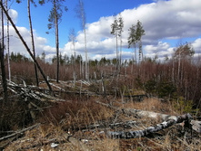 IMG 20200322 103509.jpg