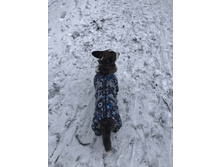 ����������� viber 2020-03-15 14-42-00.jpg