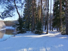 IMG 20200301 112251.jpg