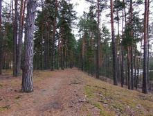 IMG 20200309 125227.jpg