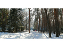 IMG 20200301 125109.jpg