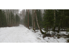 IMG 20200308 103854.jpg