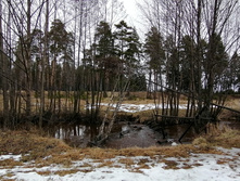 IMG 20200309 114236.jpg