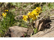 �������� ������������1.jpg