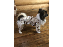 ����������� viber 2020-03-14 19-35-50.jpg