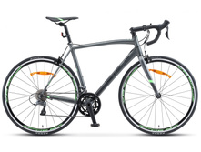 Xt300 28 v010 gray-green.1875x1300.jpg