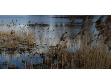 IMG 20200321 140527.jpg