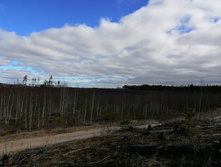 IMG 20200321 103342.jpg