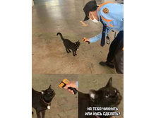 ���� ��� ���������