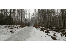 IMG 20200308 105528.jpg