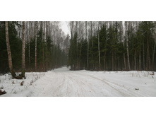 IMG 20200308 104339.jpg