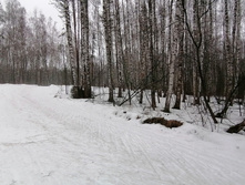 IMG 20200308 102918.jpg