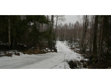 IMG 20200308 104459.jpg