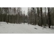 IMG 20200308 103036.jpg