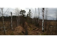 IMG 20200314 130640.jpg