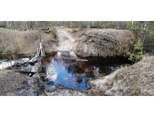 IMG 20200322 100308.jpg