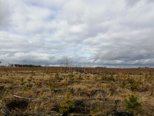 IMG 20200314 122520.jpg