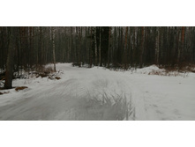 IMG 20200308 100758.jpg