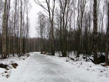 IMG 20200308 102736.jpg