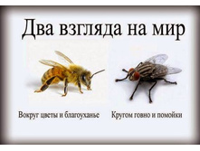 ��� ������� �� ���