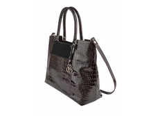 ����� ESSE ����������� ����