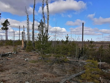 IMG 20200321 111443.jpg