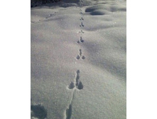 IMG 20200315 182626.jpg