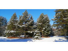 IMG 20200301 111601.jpg