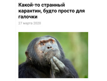 Screenshot 20200329 022804.jpg