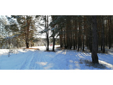 IMG 20200301 121035.jpg