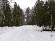 IMG 20200308 110126.jpg