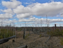 IMG 20200321 112511.jpg