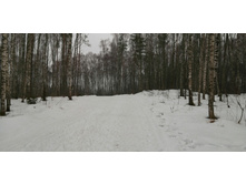 IMG 20200308 103244.jpg