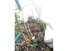 IMG 20200303 115421.jpg