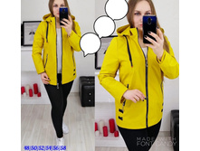 1530� 48,50,52,54,56,58 2.jpg