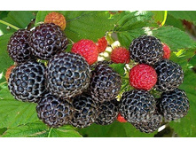 ��������� ���� ���������� �2 280�