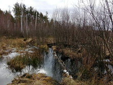 IMG 20200314 130941.jpg