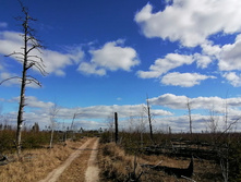 IMG 20200321 121955.jpg