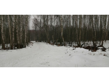 IMG 20200308 103054.jpg