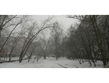 IMG 20200315 120542.jpg