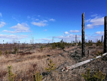 IMG 20200321 115238.jpg