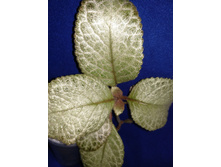 �� �������� ����������