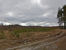 IMG 20200321 100054.jpg